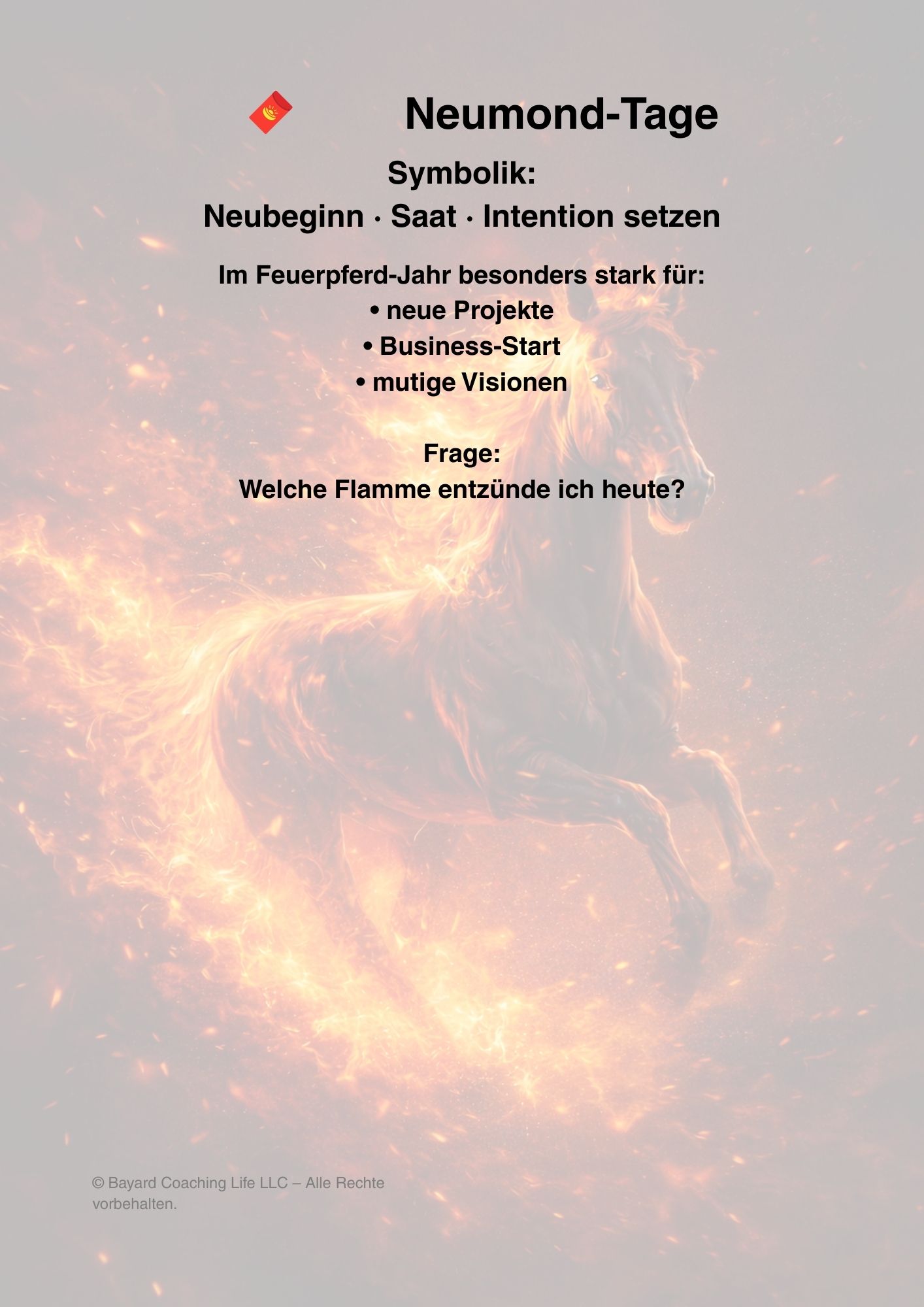 12-Monats - Feuerpferd - Workbook 2026 - Image 3